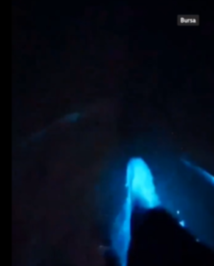 Marmara'da deniz renk değiştirdi! Mavi renkli parlamalar sosyal medyada gündem oldu... Adım attıkça ortaya çıktı G1