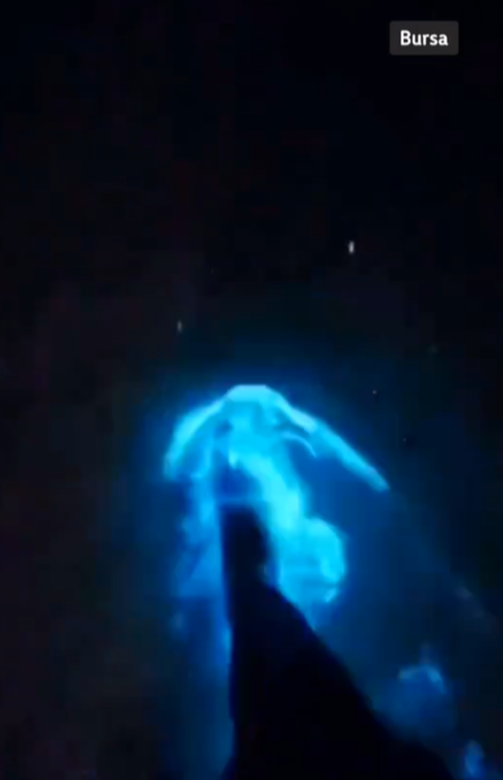 Marmara'da deniz renk değiştirdi! Mavi renkli parlamalar sosyal medyada gündem oldu... Adım attıkça ortaya çıktı G3