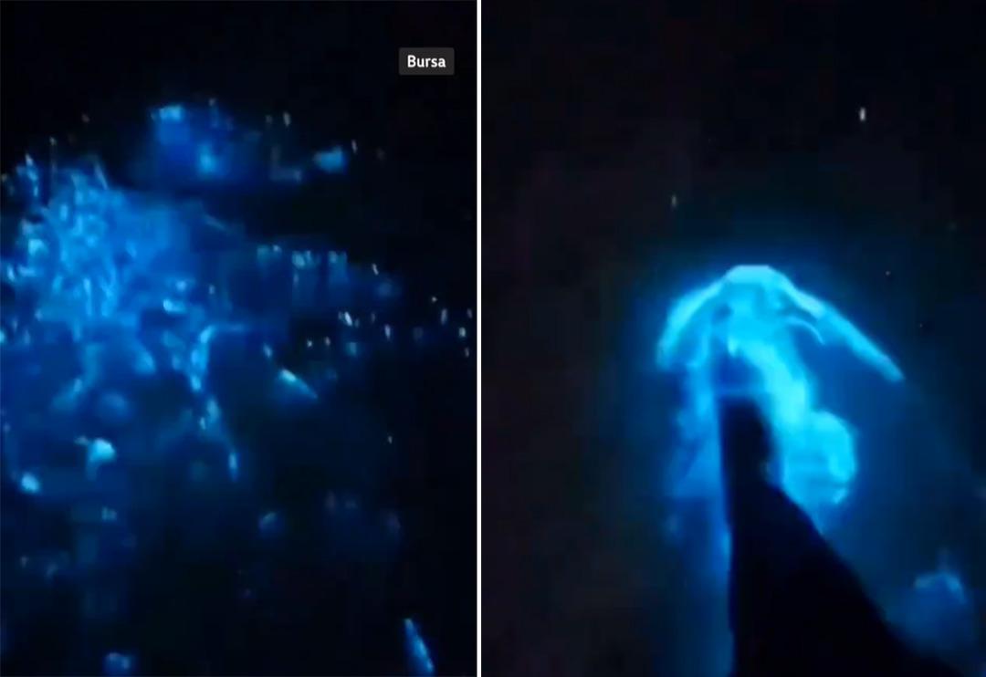 Marmara'da deniz renk değiştirdi! Mavi renkli parlamalar sosyal medyada g&uuml;ndem oldu... Adım attık&ccedil;a ortaya &ccedil;ıktı