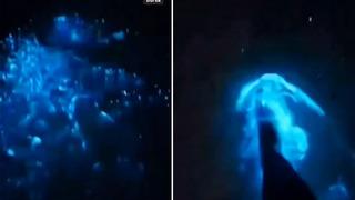 Marmara'da deniz renk değiştirdi! Mavi renkli parlamalar sosyal medyada gündem oldu... Adım attıkça ortaya çıktı