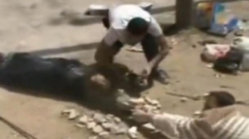 Suriye'de dehşet..!!