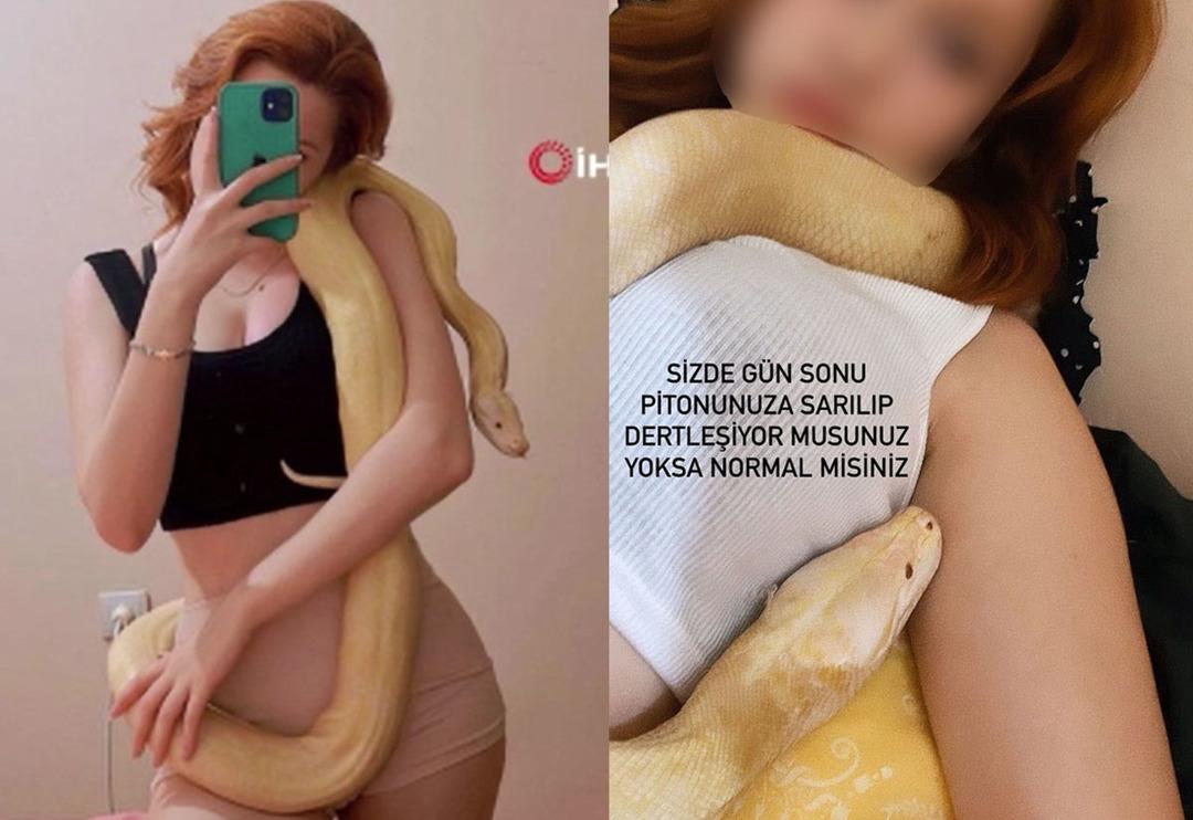 '1 aydır a&ccedil; ve boyumu &ouml;l&ccedil;&uuml;yor! Sanırım beni yeme hayali kuruyor' Yer: Antalya! 1,5 metrelik dev pitona el konuldu 'O yılan evcil, neden g&ouml;t&uuml;rd&uuml;n&uuml;z?'
