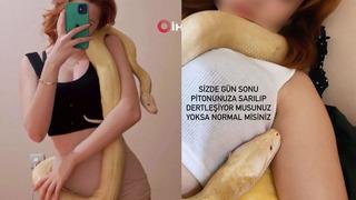 '1 aydır aç ve boyumu ölçüyor! Sanırım beni yeme hayali kuruyor' Yer: Antalya! 1,5 metrelik dev pitona el konuldu 'O yılan evcil, neden götürdünüz?'