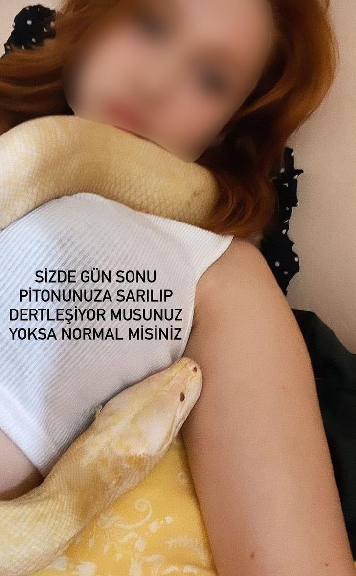 '1 aydır aç ve boyumu ölçüyor! Sanırım beni yeme hayali kuruyor' Yer: Antalya! 1,5 metrelik dev pitona el konuldu 'O yılan evcil, neden götürdünüz?' G5