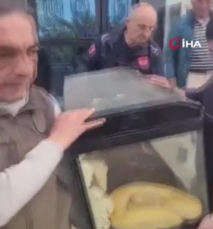 '1 aydır aç ve boyumu ölçüyor! Sanırım beni yeme hayali kuruyor' Yer: Antalya! 1,5 metrelik dev pitona el konuldu 'O yılan evcil, neden götürdünüz?' G1
