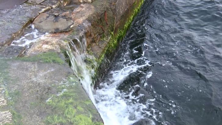 Marmara alarm veriyor! Tedbir alınması için uyardı: Canlı yaşamı sona erebilir G3