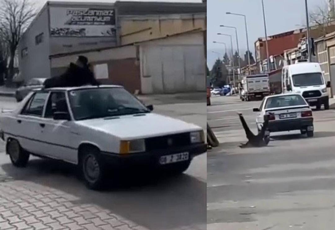 Arabanın tavanında gidiyordu! K&ouml;t&uuml; bitti... Hastaneye kaldırıldı