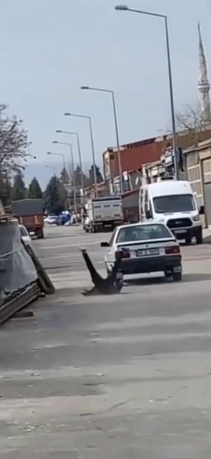 Arabanın tavanında gidiyordu! Kötü bitti... Hastaneye kaldırıldı G5