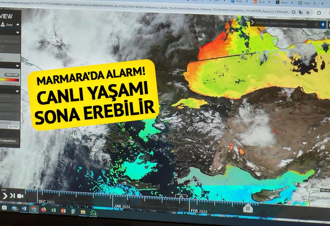 Marmara alarm veriyor! Tedbir alınması i&ccedil;in uyardı: Canlı yaşamı sona erebilir