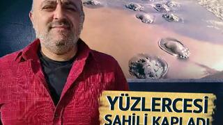 Yer: Hatay! Yüzlercesi sahili kapladı... Önümüzdeki dönemde ciddi sıkıntılara sebep olacak bir durum