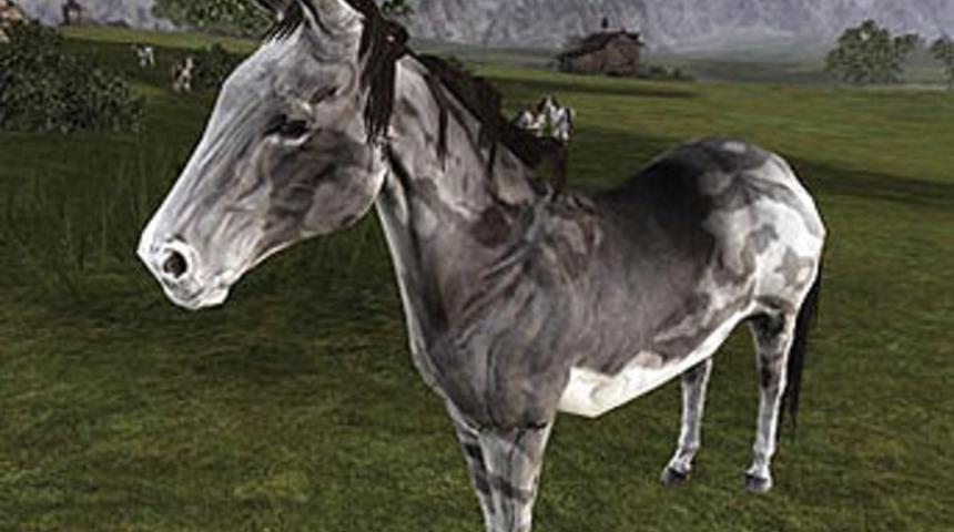 Yeni moda içecek: Eşek sütü