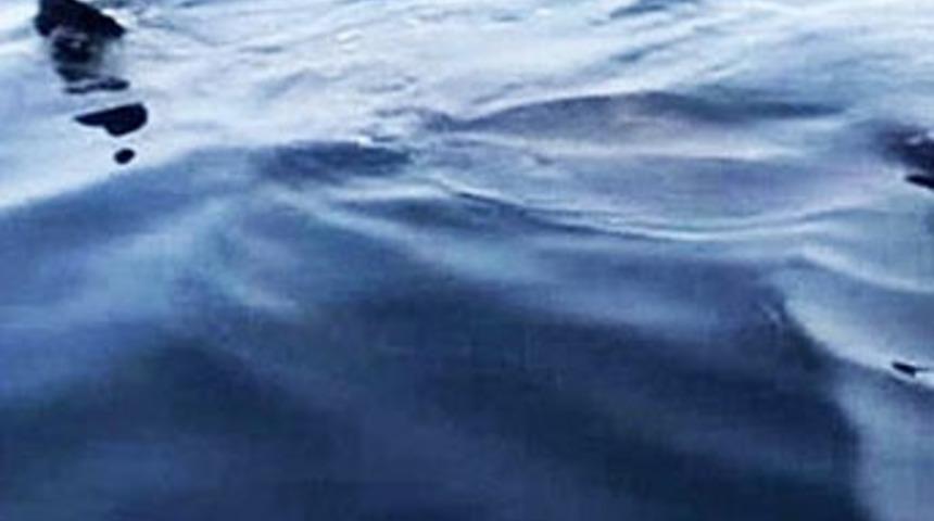 Sudan bir anda &ccedil;ıktı