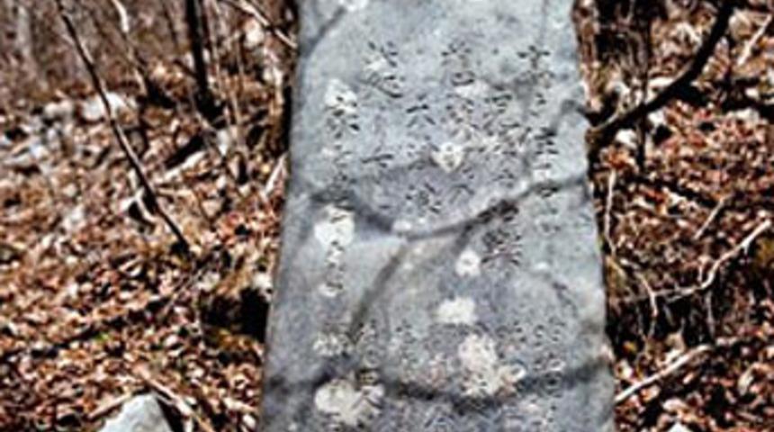 Bir k&ouml;y&uuml; tsunamiden kurtaran taş