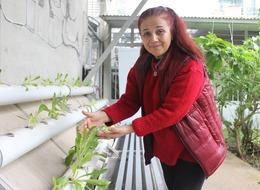 Yeni öğrendiği yöntem depremzedeye gelir kapısı oldu! İlk denemeleri başarılı: "Kısa sürede çok ciddi verim aldık, 10 gün bile sürmedi"