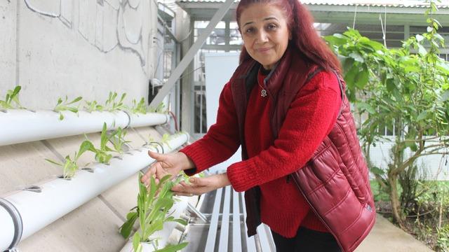Yeni öğrendiği yöntem depremzedeye gelir kapısı oldu! İlk denemeleri başarılı: Kısa sürede çok ciddi verim aldık, 10 gün bile sürmedi