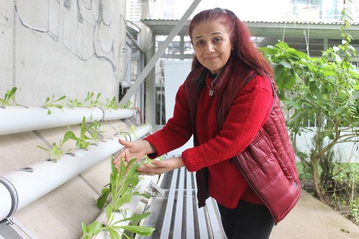 Yeni öğrendiği yöntem depremzedeye gelir kapısı oldu! İlk denemeleri başarılı: "Kısa sürede çok ciddi verim aldık, 10 gün bile sürmedi" G1