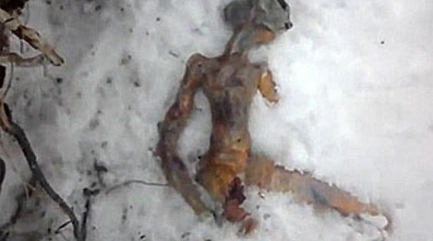 Uzaylının sırrı çözüldü!