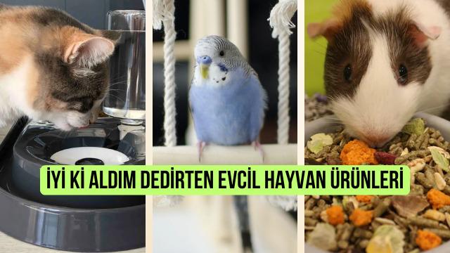 Evcil hayvan sahiplerinin Almakla ne iyi ettim! dediği ürünler listesi