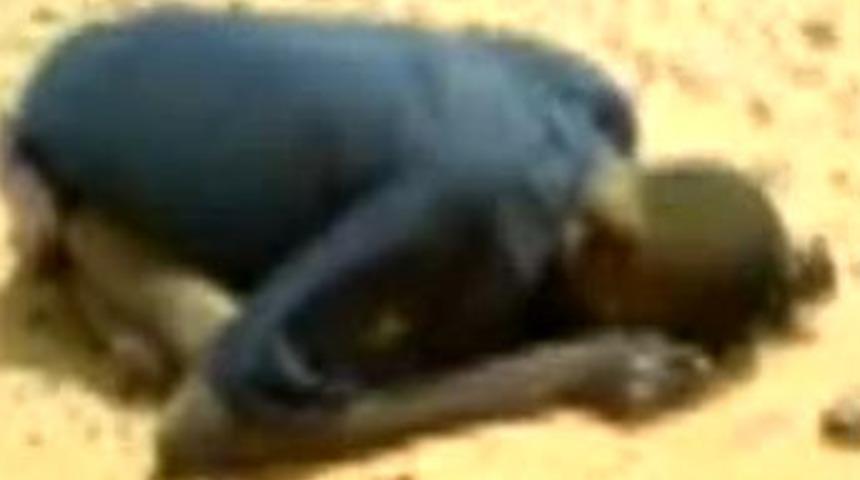 Ceset &ccedil;&ouml;l&uuml;!