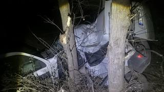 Tokat’ta ağaca çarpan otomobildeki 2 kişi yaralandı