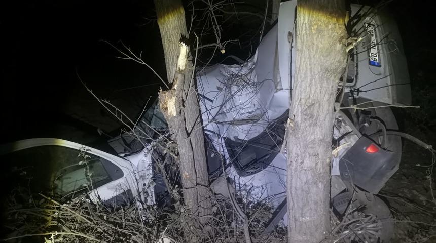 Tokat’ta ağaca çarpan otomobildeki 2 kişi yaralandı