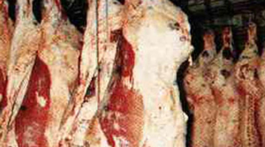 At eti yiyor olabilirsiniz!