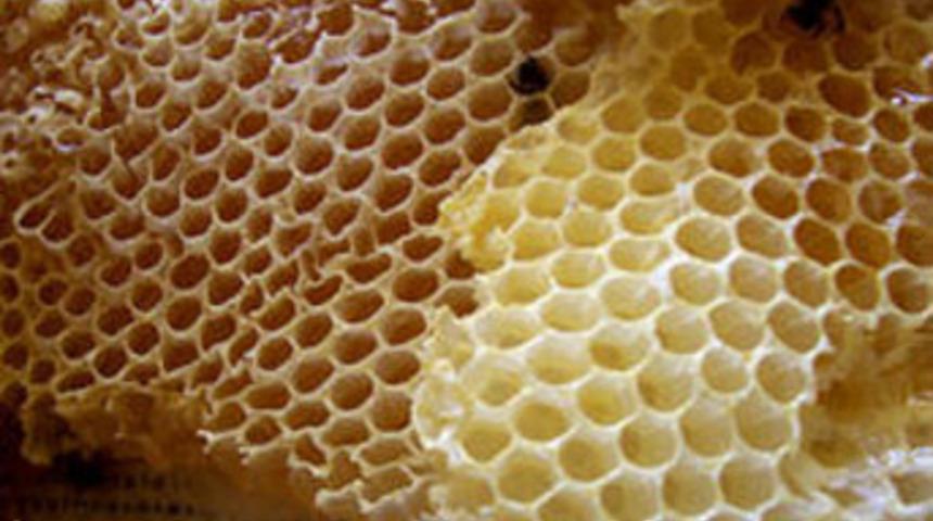 Altın değerinde bal!