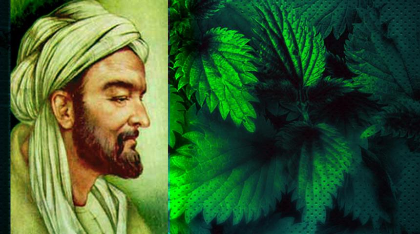 İbn-i Sina'dan yüz yıllık şifa reçetesi: Kalbi yeniden doğmuş gibi yapıyor! Limon ve balla karıştırınca mucizevi etki ediyor