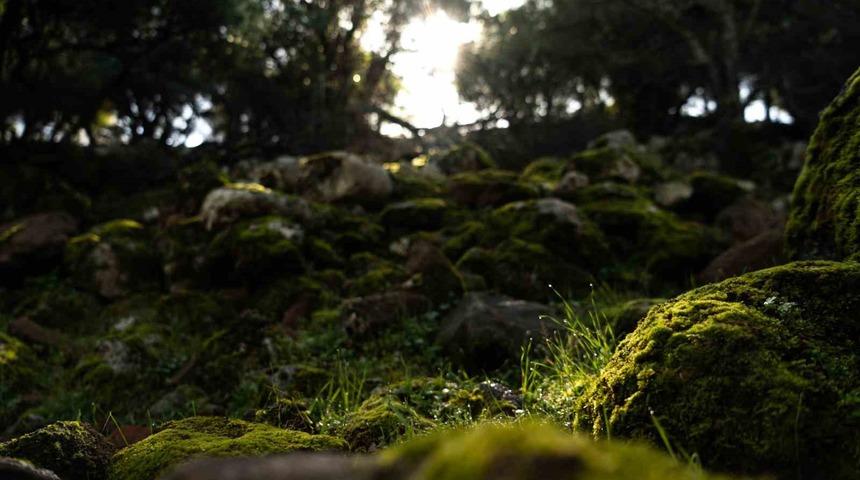 Aigai’deki kazı çalışmaları geleceğe miras kalacak