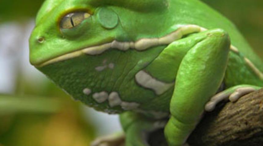 Kanseri o çözecek! Tedavi yönteminin kapısı aralandı