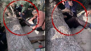 Belediye başkan adayı ağacın altında kaldı! Ayağı kırıldı, oğlunun durumu ağır