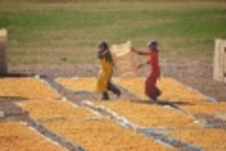 Ramazan öncesi fiyatı uçuşa geçti, kırmızı eti ikiye katladı! 'Daha sıkı denetime ihtiyaç var'  G2