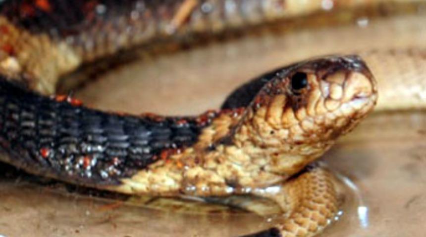 Bunları bilmek gerek!