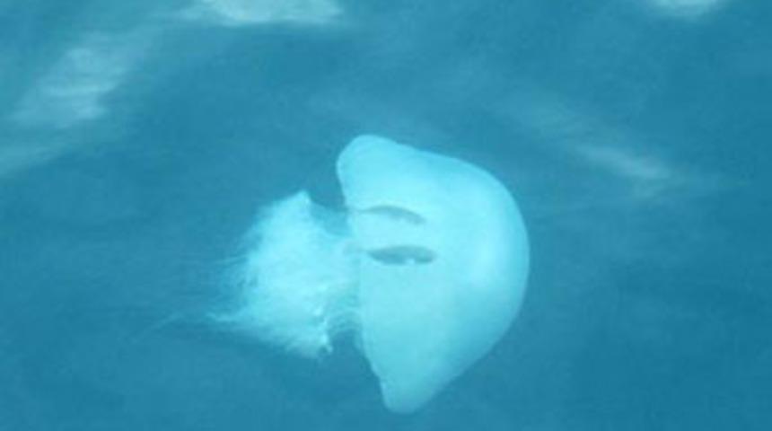 İlk kez bu kadar tehlikelisi geldi