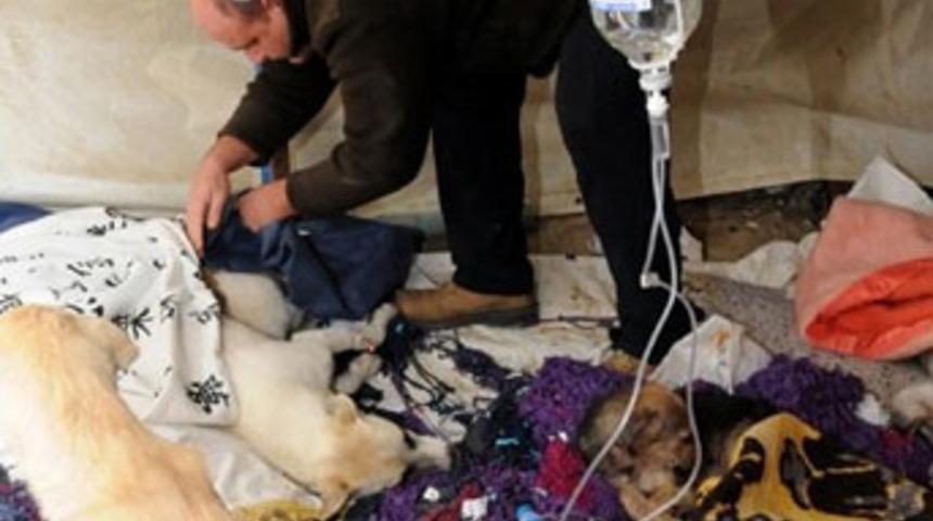 İnsanlık hastanesi