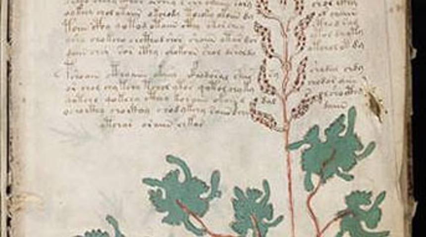 D&uuml;nyanın en gizemli kitabı