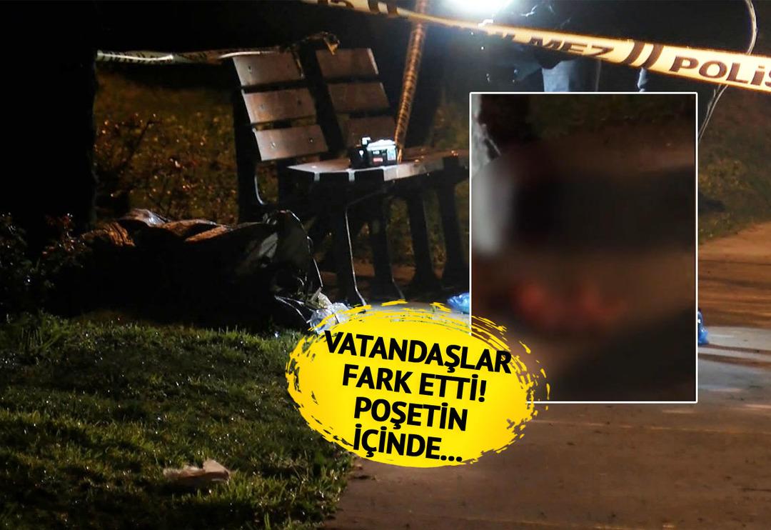 Kedilerin &ccedil;&ouml;pleri karıştırmasıyla ortaya &ccedil;ıktı! Yer: Esenler... Poşete sarılmış haldeydi