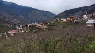 Referandum yapıldı, Danıştay onayladı! 34 yıl sonra başka bir ile bağlanıyor…