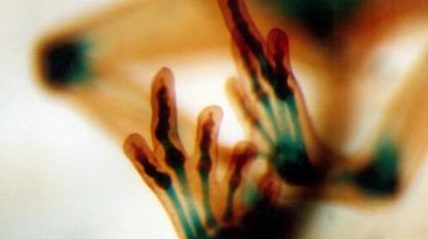 Mikro dünyayı keşfedin!