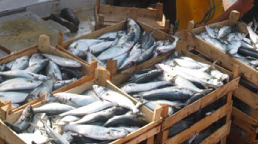 Bir ağ attı 45 bin lira &ccedil;ekti