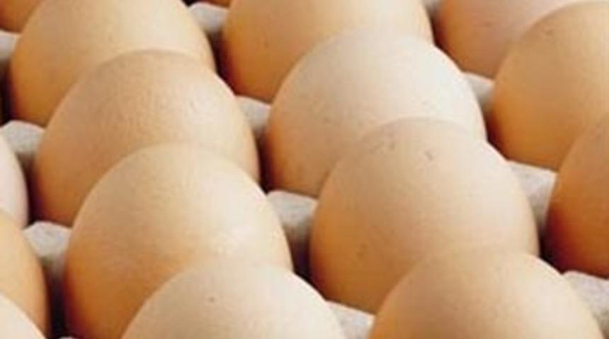 Günde 1 mi, 2 mi yoksa hiç mi