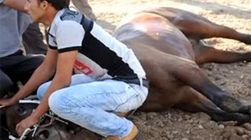 Ayağı kırılan atın boğazını kestiler