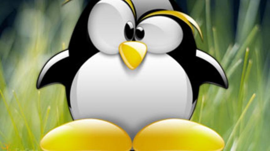 Linux tarih mi oluyor
