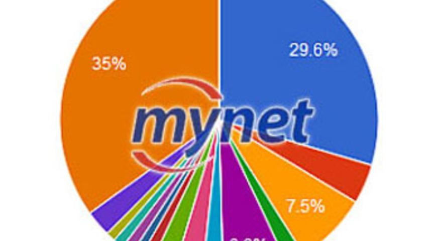 İşte internet kullanıcılarının dağılımı