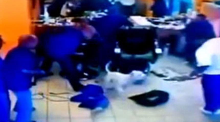 Pitbull dehşeti kameralarda