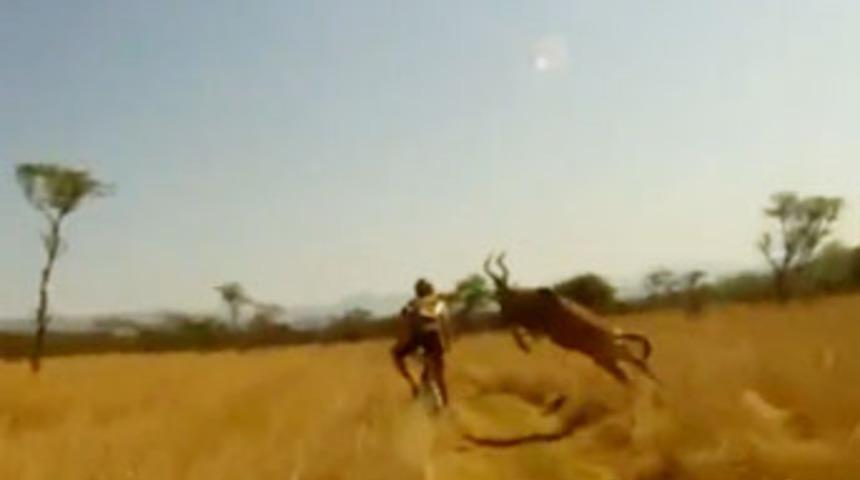 Antilop bisiklet&ccedil;inin &uuml;zerine b&ouml;yle atladı