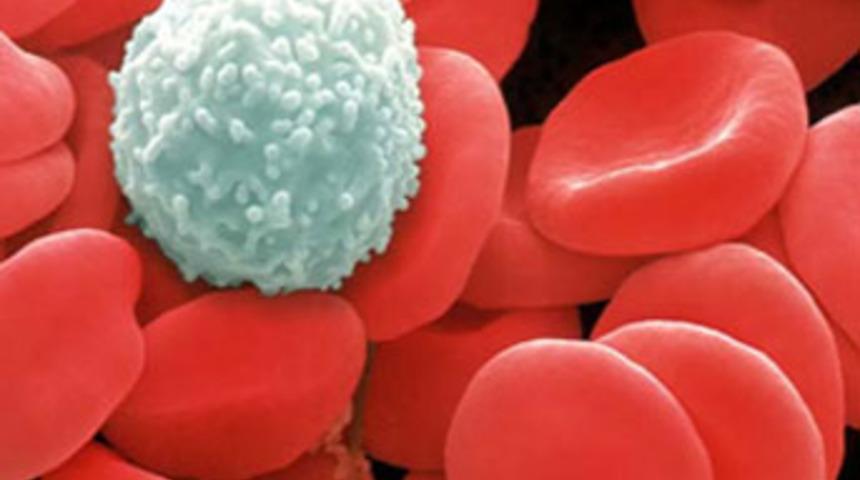 Anemiyi ciddiye alın