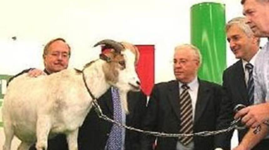 Irk&ccedil;ıların maskotu ke&ccedil;i ka&ccedil;ırıldı