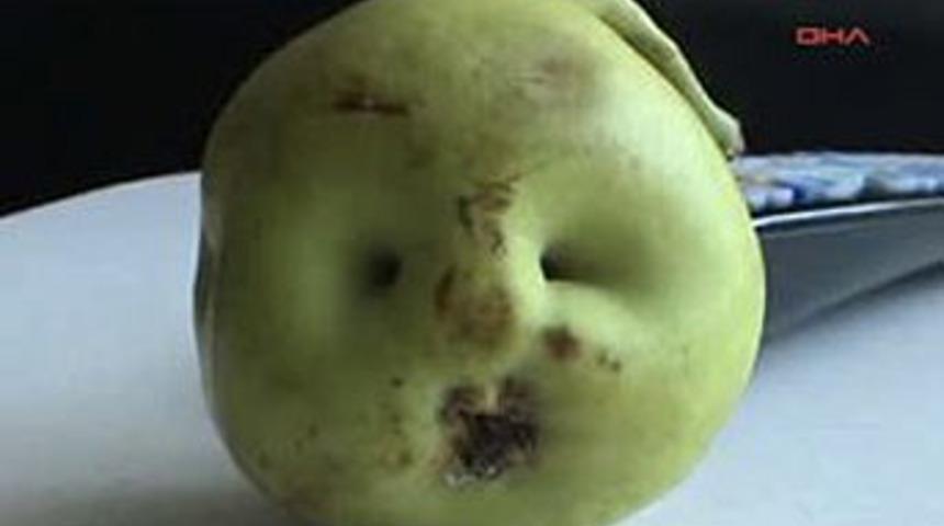 Bebek y&uuml;zl&uuml; armut şaşırttı (Video)