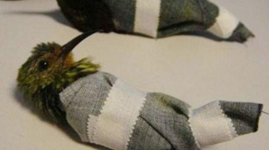 Pantolondan kuş &ccedil;ıktı!